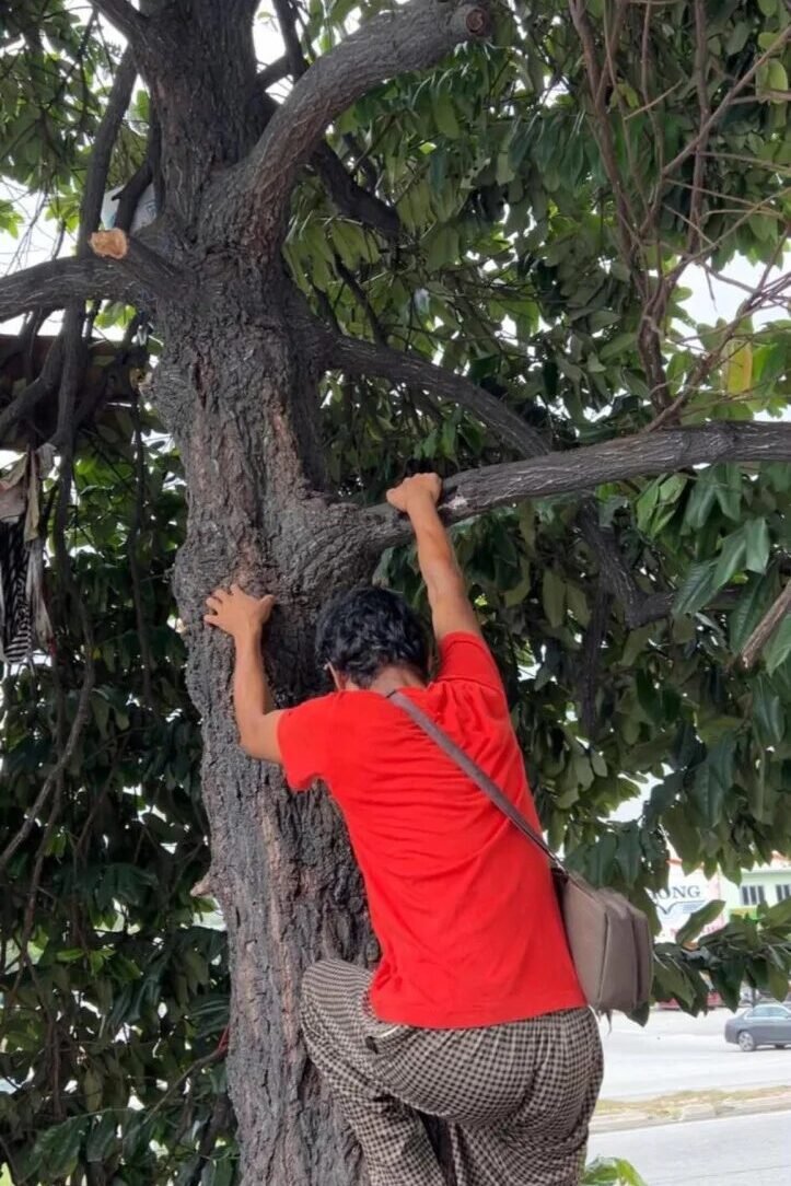 吉隆坡男子因经济困难树上居住