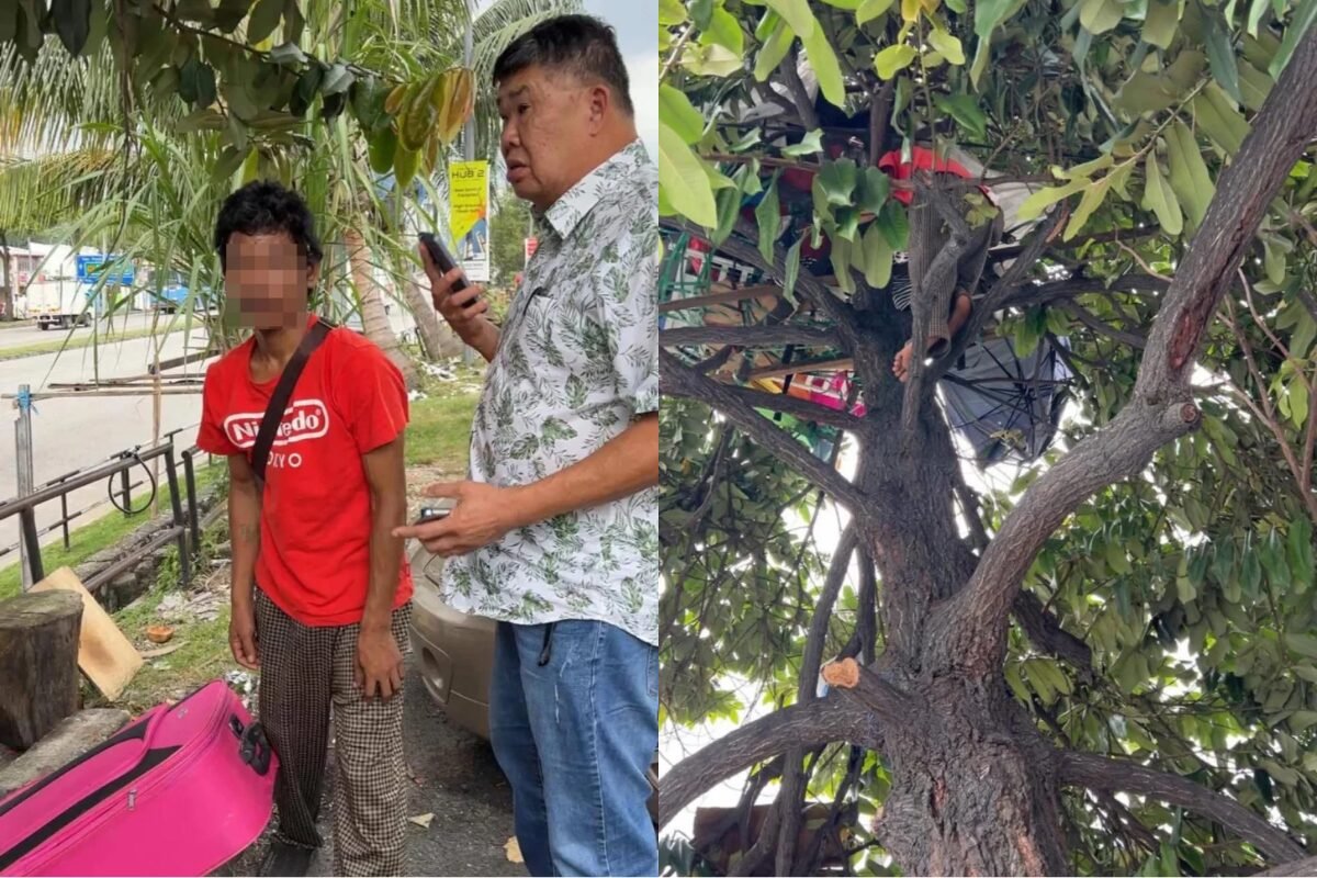 马来西亚吉隆坡男子因经济困难树上栖身逾半年引发关注