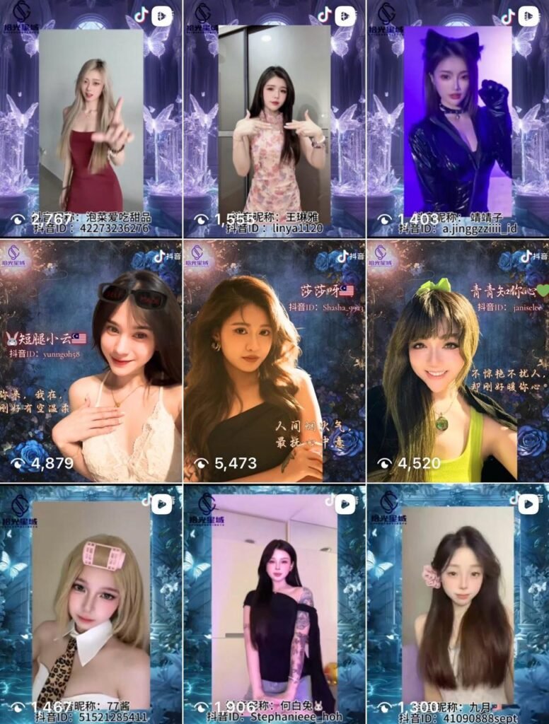 马来西亚MCN合作模式