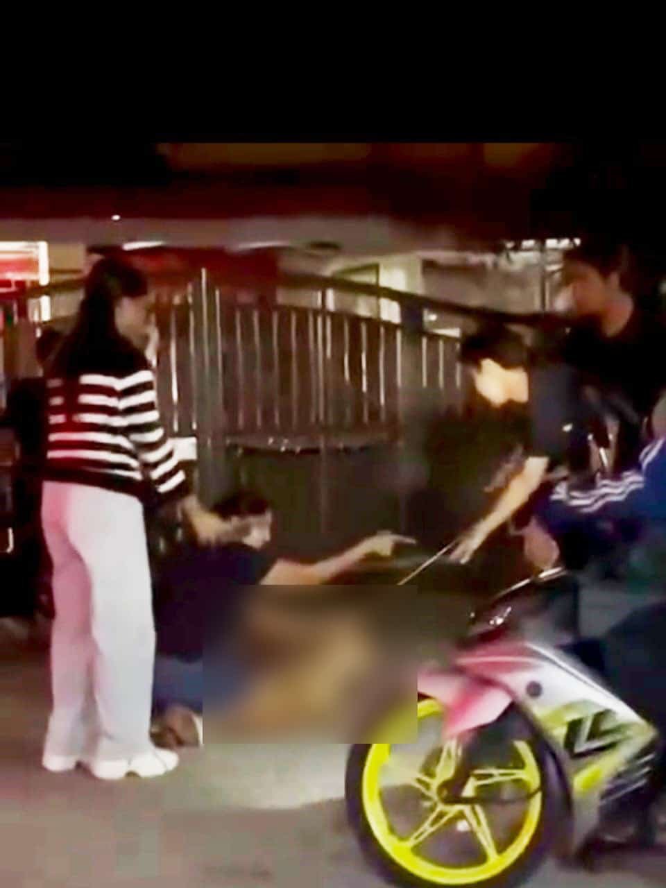 巴生市政厅捕狗